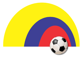 PLAN  DECENAL  FÚTBOL  MASCULINO – INTERLIGAS