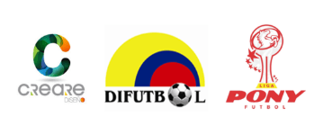 REGLAMENTO PONY FÚTBOL 2019