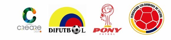 REGLAMENTO GENERAL LIGA PONY FÚTBOL 2019 R E SOLUCIÓN NRO. 006-19 Abril 27 de 2019
